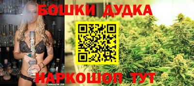 Альфа ПВП Заволжье