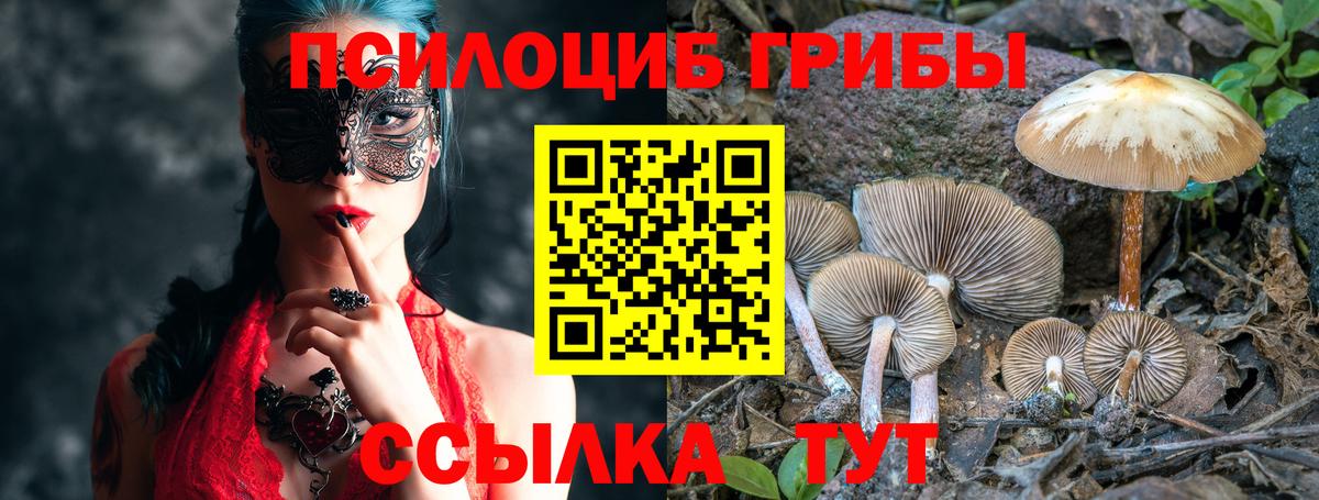 Псилоцибиновые грибы Cubensis  Вход с VPN  Галлюциногенные грибы Psilocybe  Майский 