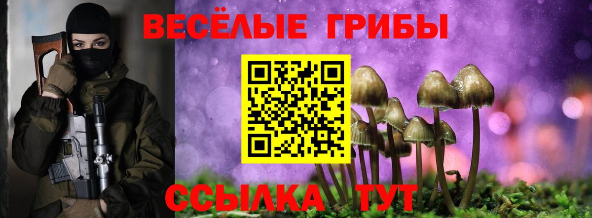 Псилоцибиновые грибы мицелий Майский